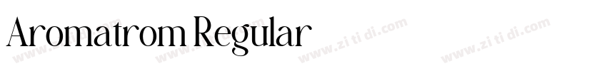 Aromatrom Regular字体转换 Aromatrom Regular字体转换